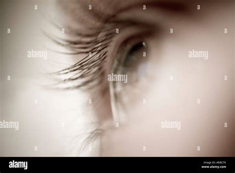 Pupila De Un Ojo Fotografías E Imágenes De Alta Resolución Alamy