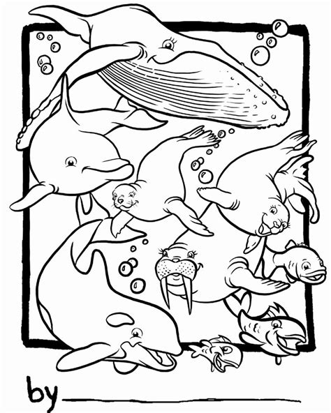 Ocean Animal Habitat Coloring Pages Coloring Pages