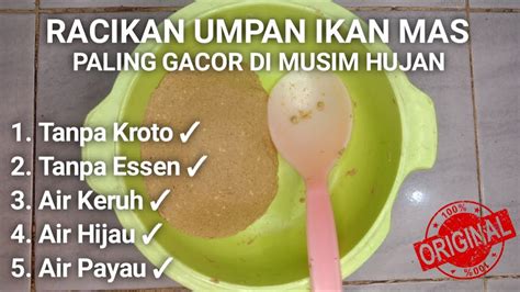 Resep Umpan Ikan Mas Paling Jitu Menggunakan Pelet Jitu Tanpa Kroto