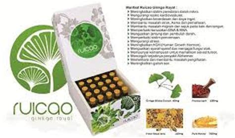 Jual Agen Ginkgo Royal Di Lapak Agen Herbal Murah Agenruicao