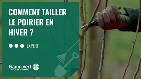 Tuto Comment Tailler Les Poiriers En Hiver Gamm Vert