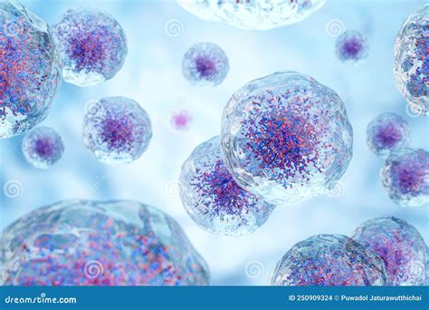 White Blood Cells With Nucleus And Granule Transparency Cell Membrane