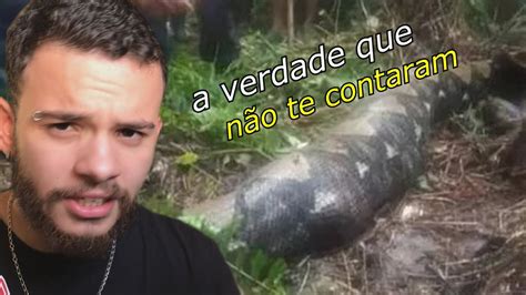 MULHER FOI ENGOLIDA POR UMA PYTHON DE QUASE 7 METROS Wildboppre YouTube