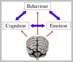 What Is Clinical Psychology Image - Graph Diagram