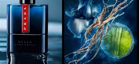 Arriba 64+ imagen ocean perfume prada - Abzlocal.mx