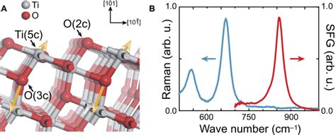 Structure And Phonon Spectra Of Anatase 101 A Structure Of Anatase