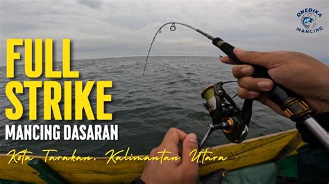 FULL STRIKE Mancing Menggunakan Umpan Udang Di Tarakan YouTube