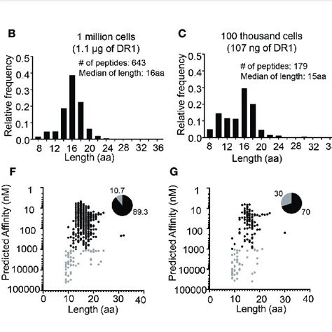 Length Distribution Of Peptides Eluted From Lg2 Cells With Different Download Scientific