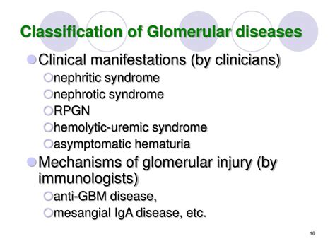 Ppt The Pathology Of Glomerular Diseases Powerpoint Presentation