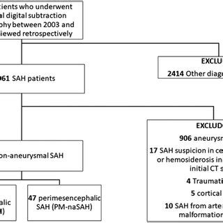 Flow Chart Of This Study SAH Subarachnoid Hemorrhage MRI Magnetic