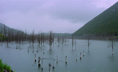 Heart Of Glass 1976 Werner Herzog Cinematography By Jörg Schmidt Reitwein Seascape