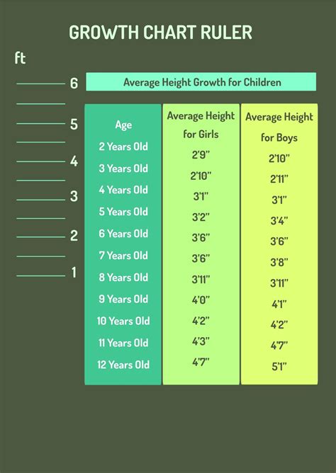 Growth Chart Ruler In Pdf Illustrator Download