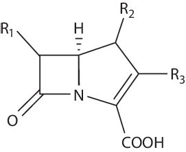 10 Structure of the carbapenem backbone. | Download Scientific Diagram