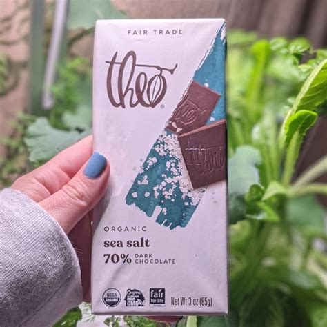 Theo Chocolate Sea Salt Dark Chocolate Review Abillion