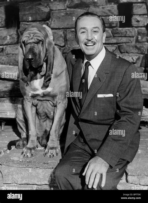 WALT DISNEY & DOG PRODUCER (1955 Stock Photo - Alamy