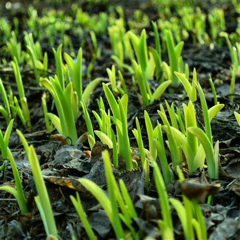 Новая жизнь | Пикабу