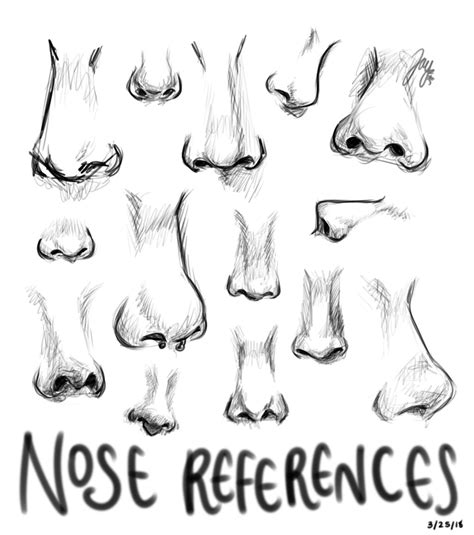 Nose Reference Sheet by InsubstantialJay on DeviantArt