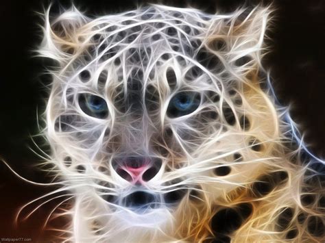 Snow Leopard Desktop Wallpaper - WallpaperSafari