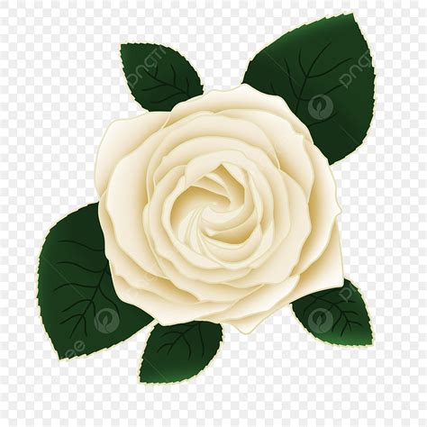 White Rose Clip Art Png