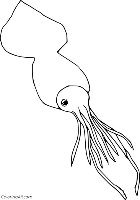 Colossal Squid Free Printable Coloring Pages - Coloring Cool