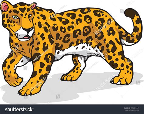 Jaguar Animal Vector Illustration Any Graphic Vector De Stock Libre