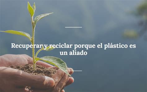Mercado De Plasticos 2