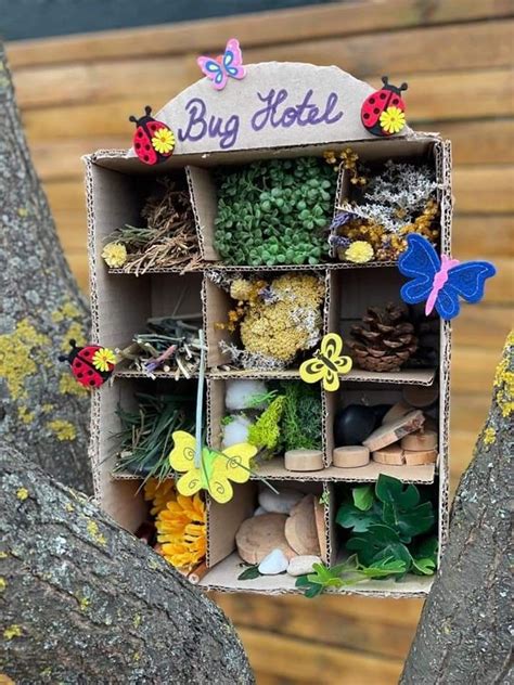 A Box Filled With Lots Of Different Types Of Plants And Rocks Sitting