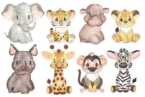 Watercolor Safari Tropical Animal Clipart Jungle Animal 674355