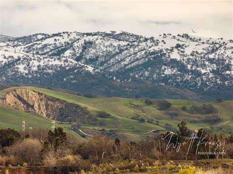 Livermore In February: Photos Of The Day | Livermore, CA Patch