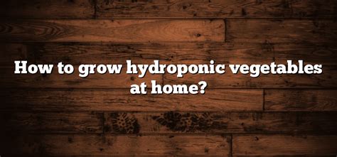 How to grow hydroponic vegetables at home? - Inter Culturalu