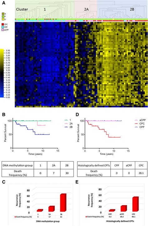 DNA Methylation Profile Derived From The Combined Discovery And