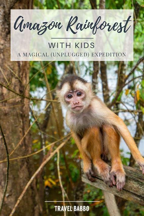 Planning an Amazon Rainforest vacation with the family and kids? Read ...