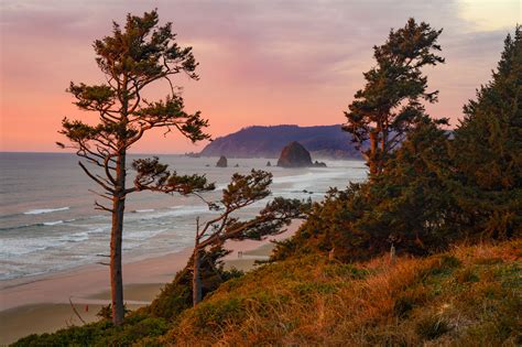 Cannon Beach Park Sunset Cannon Beach Oregon Coast Pacific Northwest Usa Jess Lee Photography