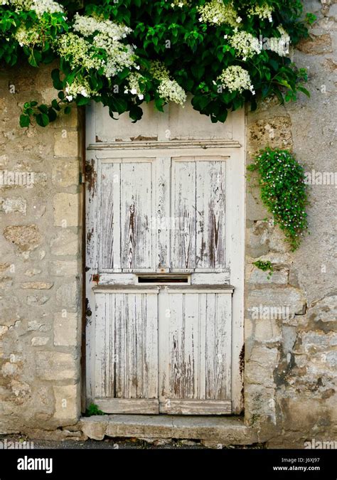 Old White Door With Foliage Cascading Over Top Hi Res Stock Photography