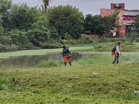 Puerto Vilelas El Municipio Ejecuta Trabajos De Saneamiento Ambiental