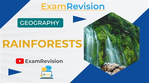 Equatorial Regions Rainforests Youtube