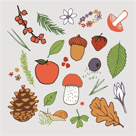 Premium Vector Autumn Forest Nature Objects Illustrations Set