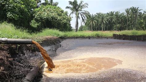 Teknologi Pengolahan Limbah Pome Palm Oil Mill Effluent Dengan Sistem