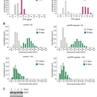 Reporter Cell Line For High Throughput Screening For Cpupr Mutants A