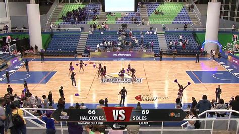 Halcones De Xalapa Vs Soles De Mexicali Youtube