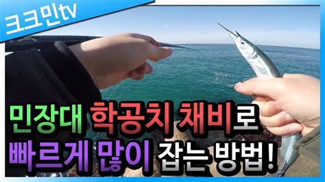 방파제 학꽁치 낚시영덕 Youtube