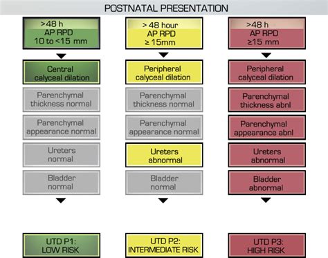 Prenatal Urinary Tract Dilatation Urologic Clinics