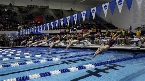 2019 Diii Swimming And Diving Championship Day One Recap