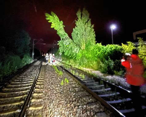 Konstanz Baum stürzt aufs Gleis Zugverkehr zwischen Konstanz und