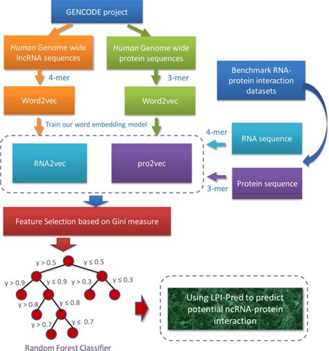 Learning Distributed Representations Of RNA And Protein Sequences And