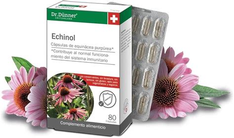 Beneficios Sin Gluten De La Echinacea Angustifolia Para Cel Acos