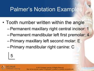 Palmer notation, fdi | PPT