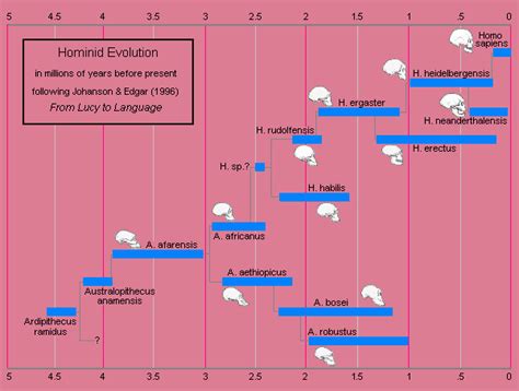 Early Hominids Timeline