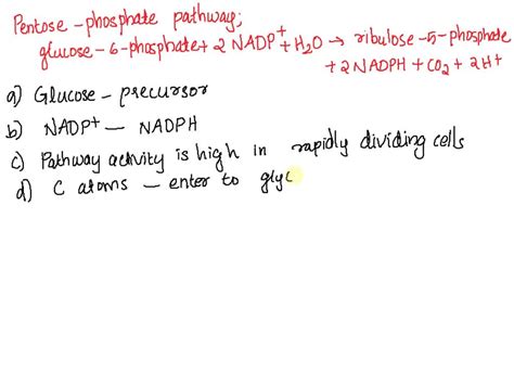 Solved 5 The Oxidative Phase Of The Pentose Phosphate Pathway