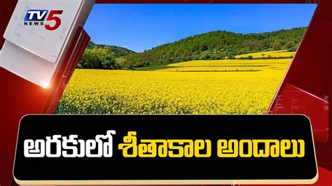 Araku Valley Beauty In Winter Season Vizag Tv5 News Youtube